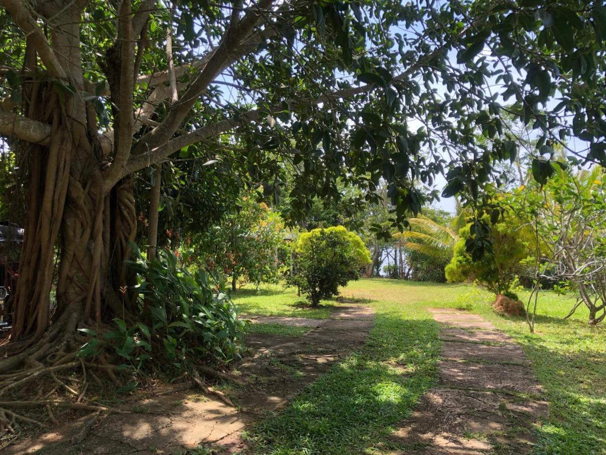 Thotupola Villa - Mirissa Exterior foto